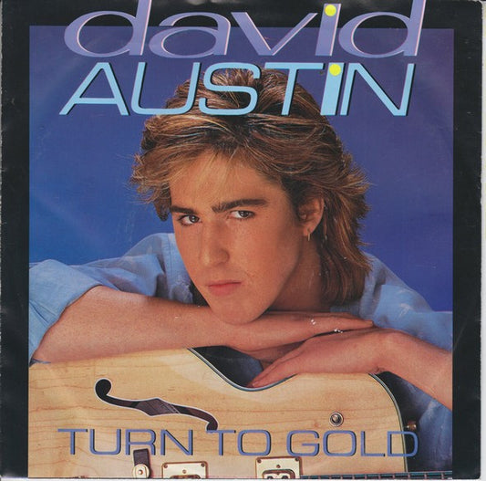 David Austin : Turn To Gold (7", Single)