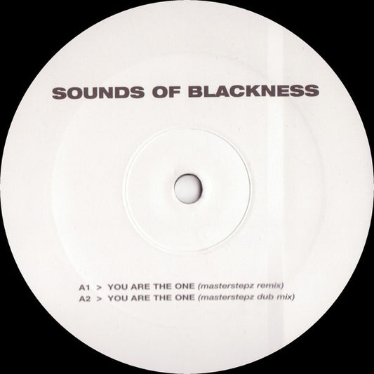 Sounds Of Blackness : You Are The One (12")