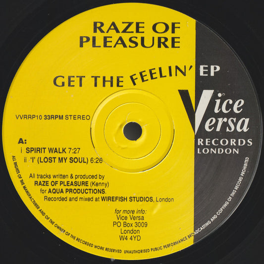 Raze Of Pleasure : Get The Feelin' E.P. (12", EP)