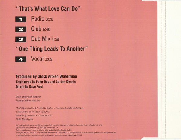 Boy Krazy : That's What Love Can Do (CD, Single)