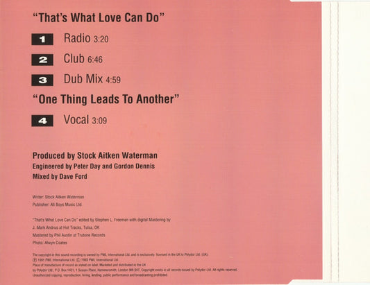 Boy Krazy : That's What Love Can Do (CD, Single)