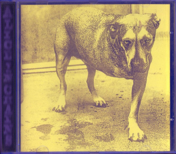 Alice In Chains : Alice In Chains (CD, Album)