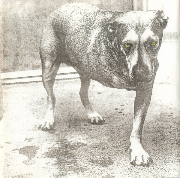 Alice In Chains : Alice In Chains (CD, Album)