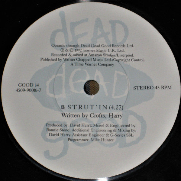 Oceanic : Controlling Me (7", Single, Pap)