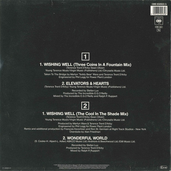 Terence Trent D'Arby : Wishing Well (12", Maxi)