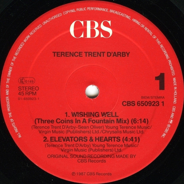 Terence Trent D'Arby : Wishing Well (12", Maxi)
