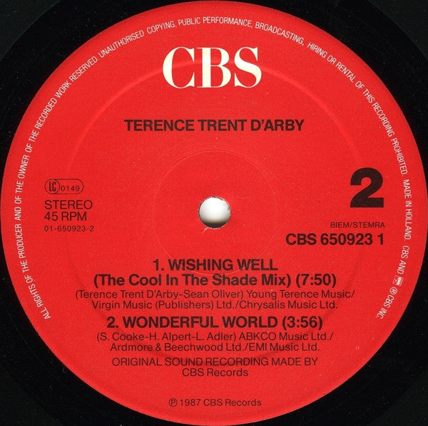 Terence Trent D'Arby : Wishing Well (12", Maxi)