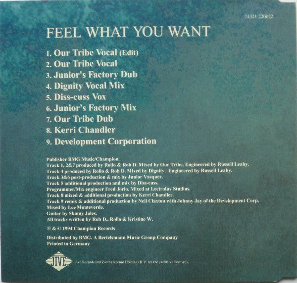 Kristine W : Feel What You Want (CD, Maxi)