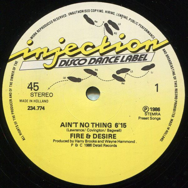 Fire & Desire : Ain't No Thing (12")
