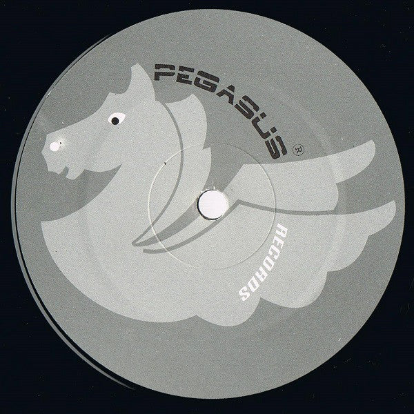 Acer : The Mixmaster (12")