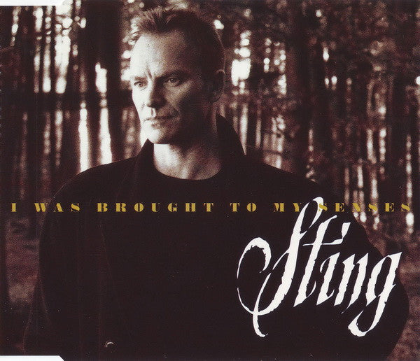 Sting : I Was Brought To My Senses (CD, Maxi)