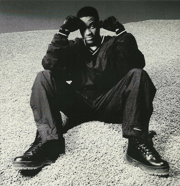 Will Smith : Big Willie Style (CD, Album)