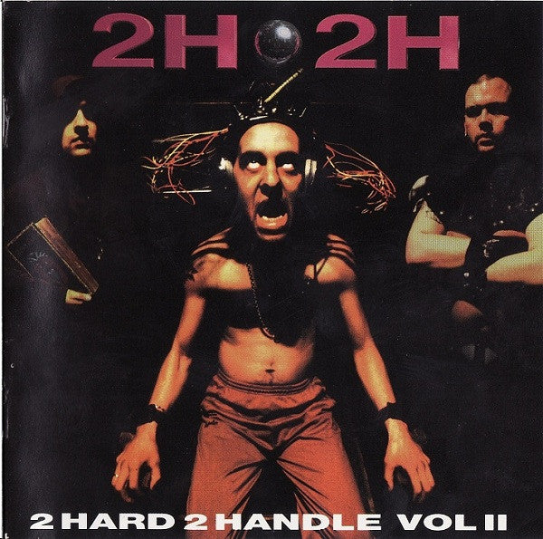 Various : 2 Hard 2 Handle Volume II (2xCD, Comp)