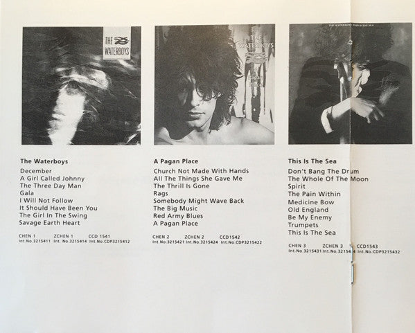 The Waterboys : The Best Of The Waterboys '81 - '90 (CD, Comp)
