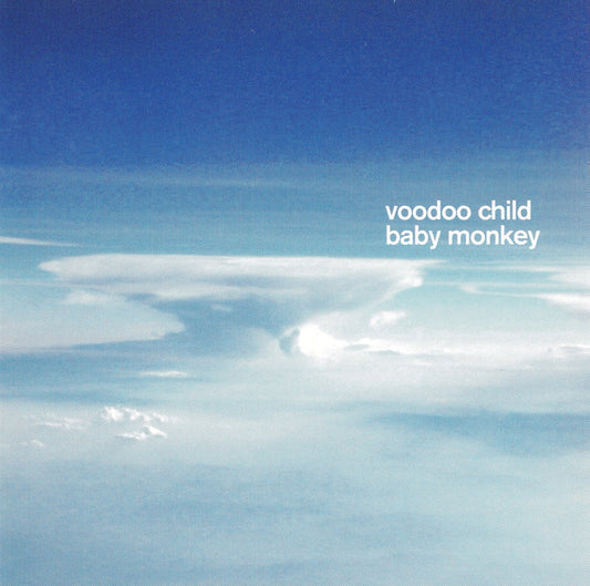 Voodoo Child : Baby Monkey (CD, Album)