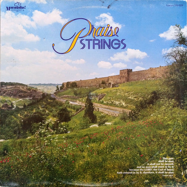 Praise Strings : Praise Strings (LP, Album)