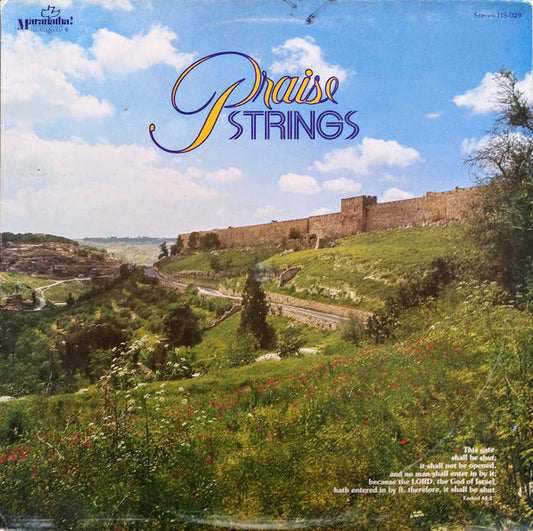 Praise Strings : Praise Strings (LP, Album)