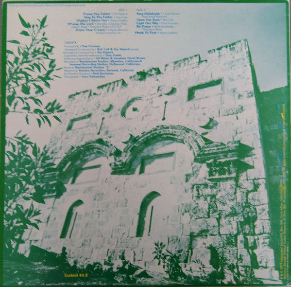 Praise Strings : Praise Strings (LP, Album)