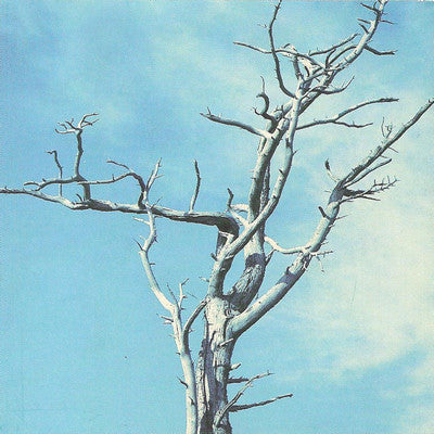 Tommy Nilsson : En Kvinnas Man (CD, Album)