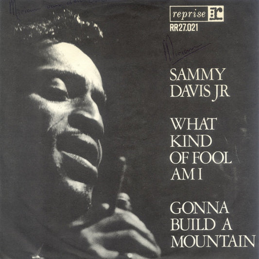 Sammy Davis Jr. : What Kind Of Fool Am I (7")