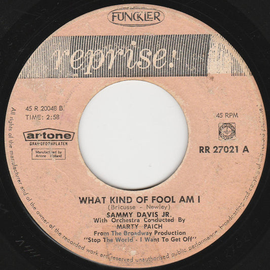 Sammy Davis Jr. : What Kind Of Fool Am I (7")