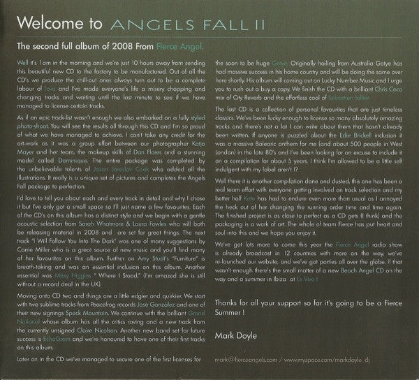 Various : Angels Fall II (3xCD, Comp)