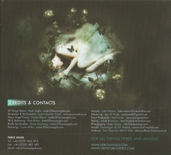 Various : Angels Fall II (3xCD, Comp)