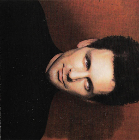 Lindsey Buckingham : Out Of The Cradle (CD, Album)