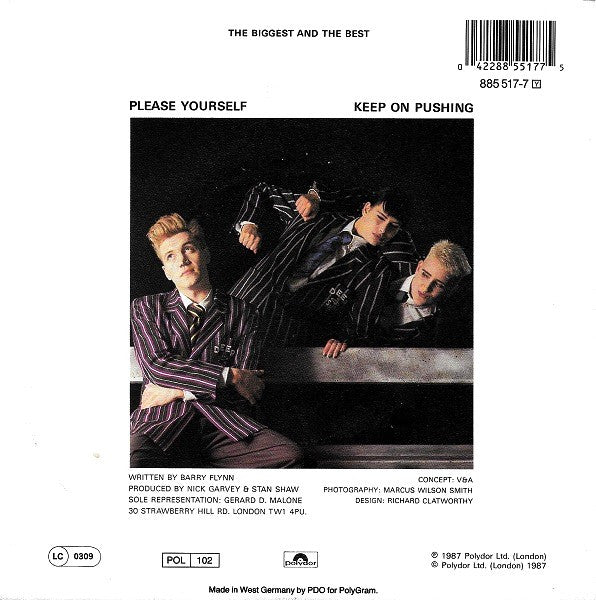 The Big Supreme : Please Yourself (7", Single)