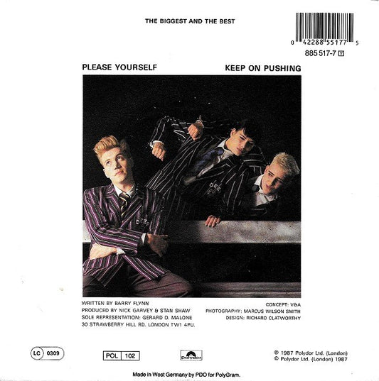 The Big Supreme : Please Yourself (7", Single)