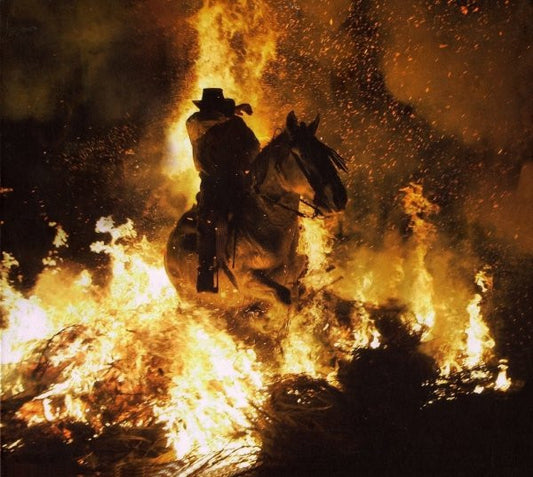 AaRON (4) : Birds In The Storm (CD, Album, Ltd, Dig)