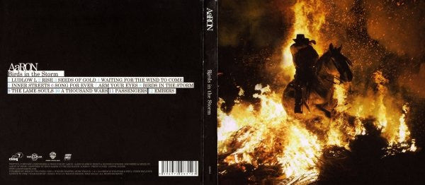 AaRON (4) : Birds In The Storm (CD, Album, Ltd, Dig)