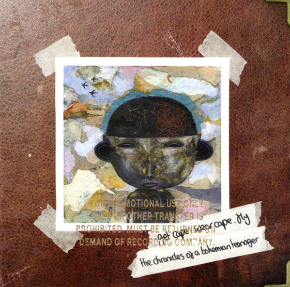 Get Cape. Wear Cape. Fly : The Chronicles Of A Bohemian Teenager (CD, Album)