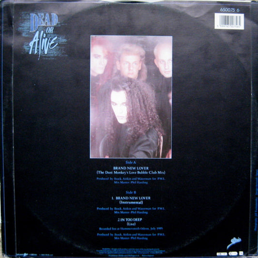 Dead Or Alive : Brand New Lover (12")