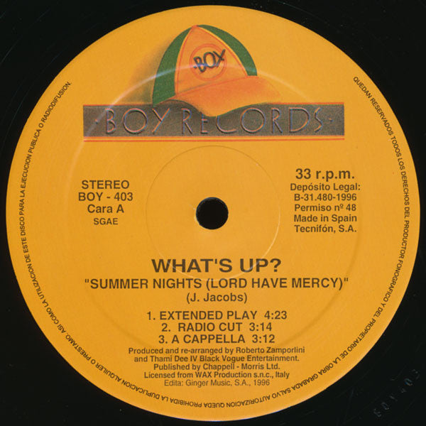 What's Up? : Summer Nights (Lord Have Mercy!!!) (12", Maxi)