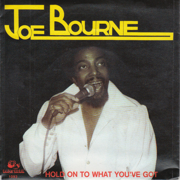 Joe Bourne : Hold On To What You've Got (7", M/Print)