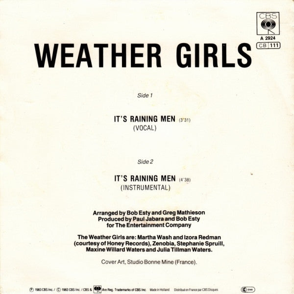 The Weather Girls : It's Raining Men! (7", Single)