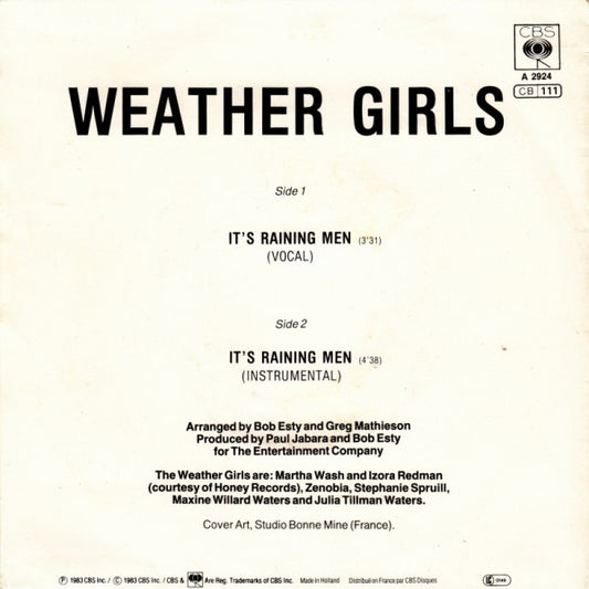 The Weather Girls : It's Raining Men! (7", Single)