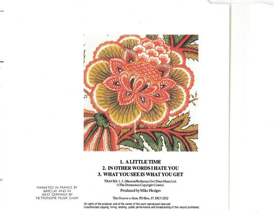 The Beautiful South : A Little Time (CD, Single)