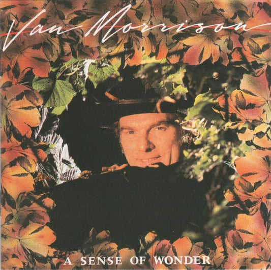 Van Morrison : A Sense Of Wonder (CD, Album)