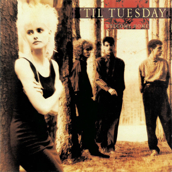 'Til Tuesday : Welcome Home (CD, Album)