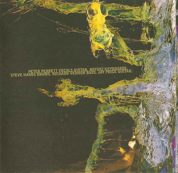 Peter Perrett In The One (2) : Woke Up Sticky (CD, Album)