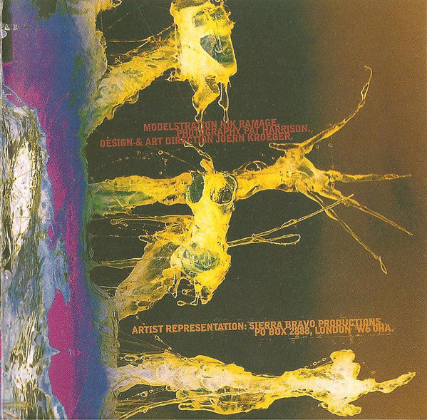 Peter Perrett In The One (2) : Woke Up Sticky (CD, Album)