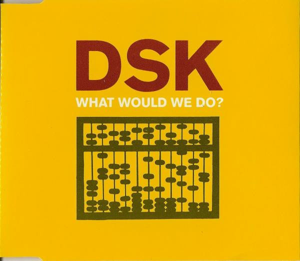 DSK : What Would We Do? (CD, Single)