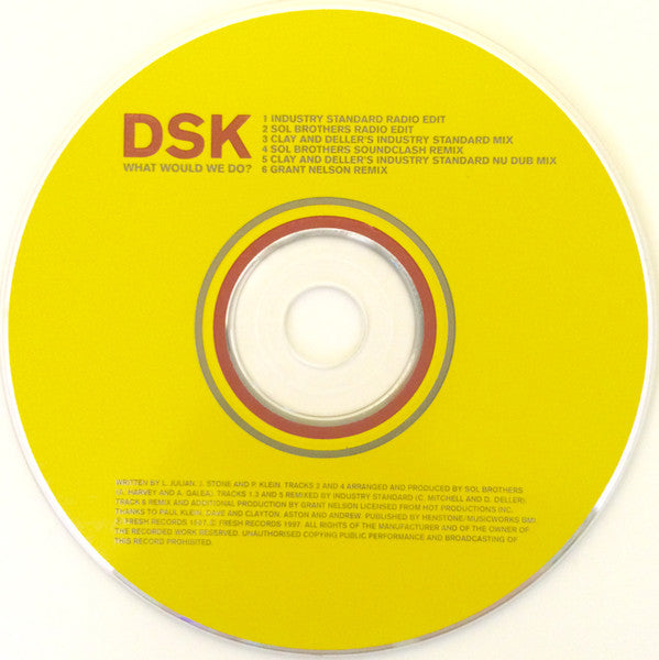 DSK : What Would We Do? (CD, Single)