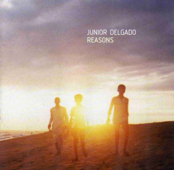 Junior Delgado : Reasons (CD, Album)