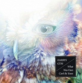 Harrys Gym : What Was Ours Can't Be Yours (CD, Album)