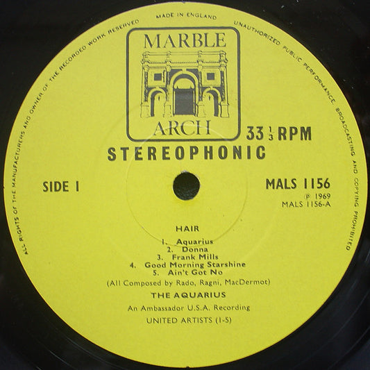 The Aquarius : Hair (LP)