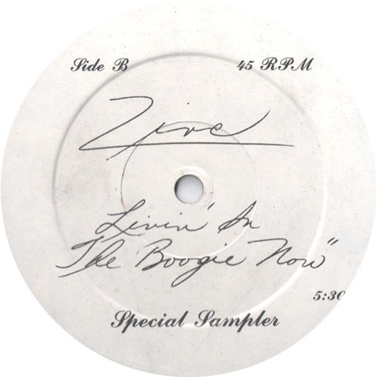 Zinc (2) : I'm Livin' A Life Of Love (12", Spe)