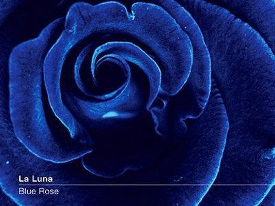 La Luna (16) : Blue Rose (CD, Album)